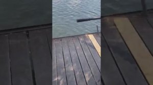 Щапово рыбалка