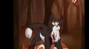 Эдит Коты-Воители 💎 Быстролап и Яролика🐼