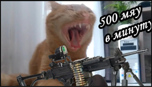 Кот пулемет (500 мяу/мин).mp4