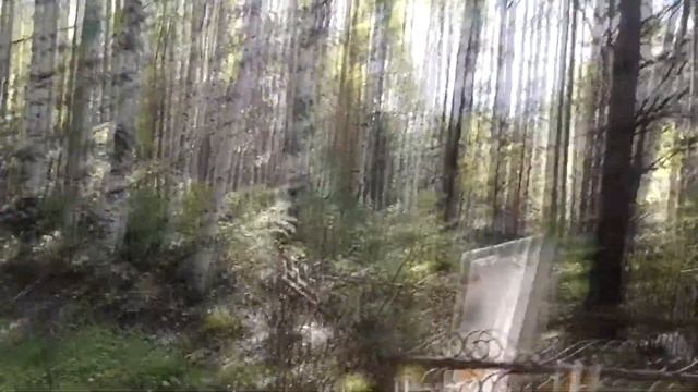 По реке Лозьва