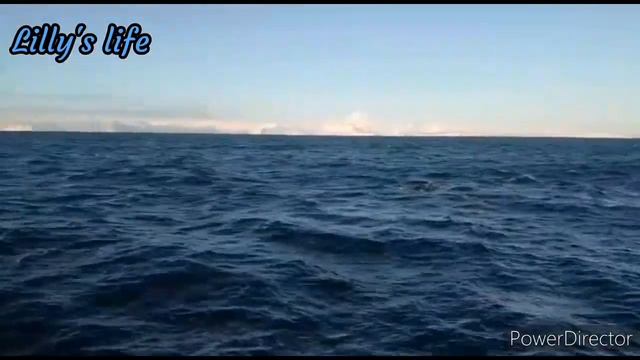 Авичнская бухта. Открытое море