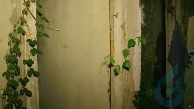 ATTAQUÉ PAR UN VIOLENT DJINN APRÈS LA OUIJA... (CES VIDÉOS EFFRAYANTES PARANORMAL VOUS TERRIFIERONT смотреть онлайн