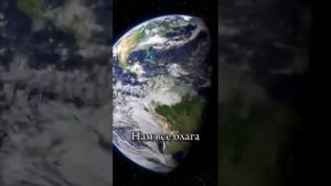 Надо жить несмотря ни на что.