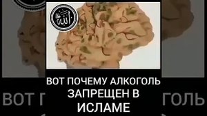 Вот почему в исламе запрещено алкоголь