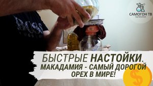Быстрые настойки.  Макадамия - настойка на самогоне с самым дорогим орехом в Мире!