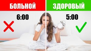 Режим Дня Здорового Человека