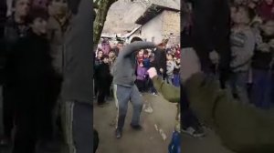 Туй дар точикистон