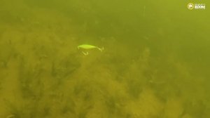 ТОП-7 любимых минноу "110 +". Алексей Шанин. Anglers Prompt