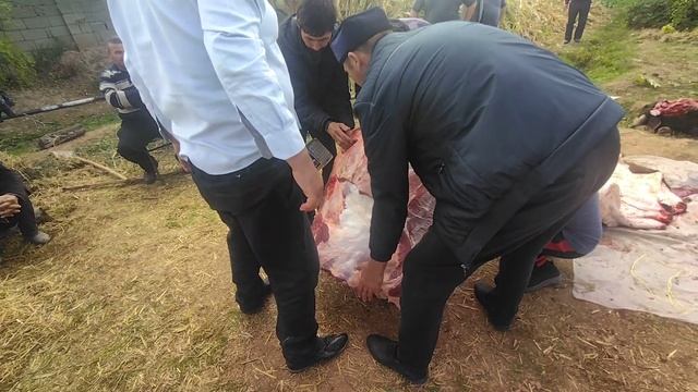 Зарезать Болшого быка на свадьбу.... смотреть онлайн