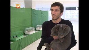 23 03 2017 выставка кроликов и голубей