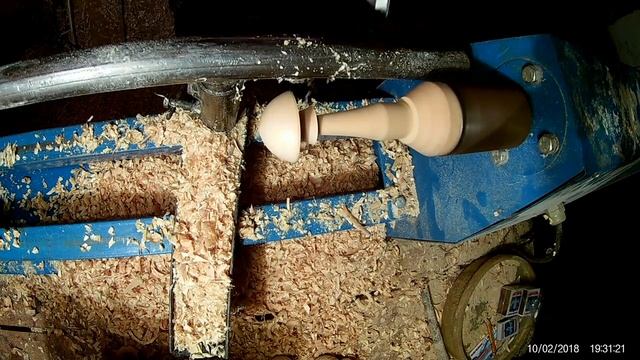 грибы для сувениров сосна липа. смотреть онлайн