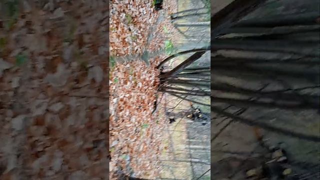 строим землянку/ и прячемся от дождя?! #землянка смотреть онлайн