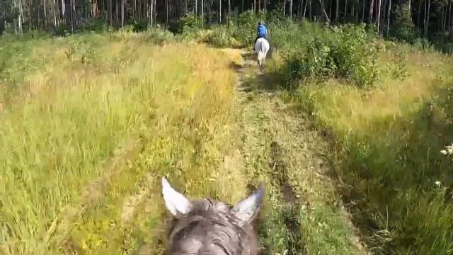 Влог с полей от первого лица 2 | GO PRO | Sunshine Коноблог смотреть онлайн