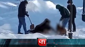 «ЧП»: 10 января 2024 года | «Чрезвычайное происшествие» на НТВ