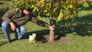 Удобрение для газона и деревьев