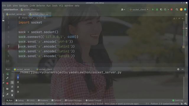 파이썬 네트워크 프로그래밍 스물 두 번째 시간 - socket.recv, socket.send 메서드 이야기 part 3 смотреть онлайн