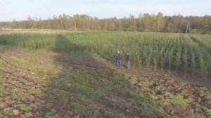 Питомник Плодовый дом Игоря