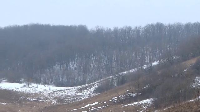 Весна в лесостепи 8 марта 2023 г.