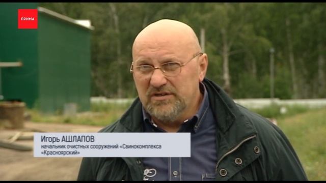 Свинокомплекс «Красноярский» будет принимать отходы жителей