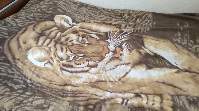 Что взять с собой в тренажерный зал смотреть онлайн