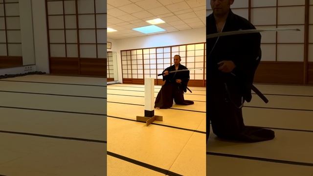 Mugai Ryu-Tameshigiri