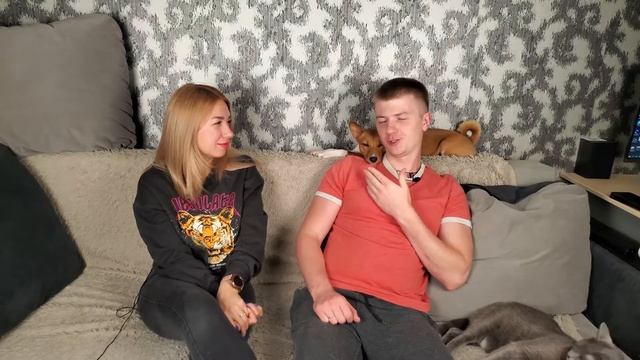 BASENJI! БАСЕНДЖИ! Все о породе.