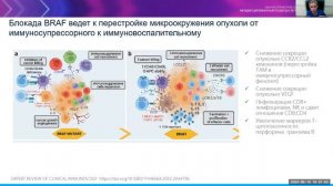 Комбинированная иммунотаргетная терапия в лечении метастатической меланомы