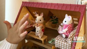 Игровой набор Sylvanian Families! Обзор на дом коттедж Сильвания Фэмили
