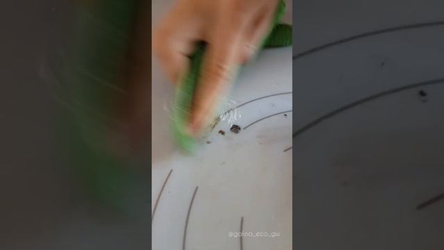 Салфетка для посуды и паста Mystik от Greenway смотреть онлайн