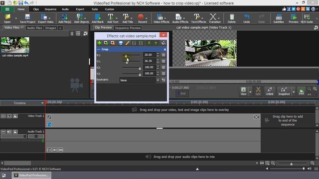 How to Crop Video | VideoPad Video Editing Tutorial