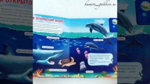 Видеообзор книги Кто живет в воде?