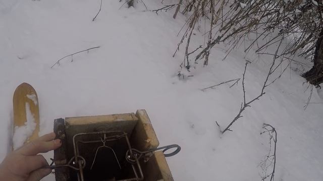 установка капканов на куницу смотреть онлайн