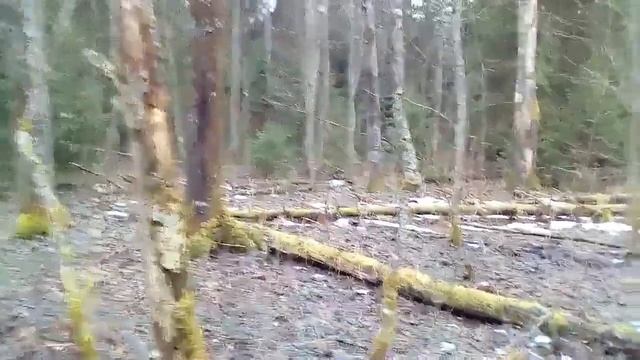 Нашёл рог оленя 6 марта смотреть онлайн