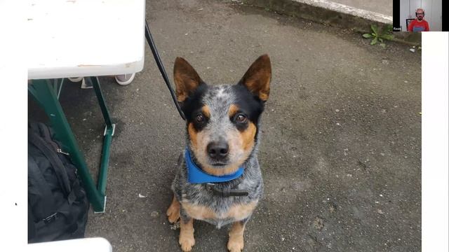 Kubewarden Community Meeting September 2023 смотреть онлайн