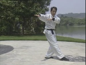 Хунцзя цюань - форма Тигра и Журавля. Ч 2