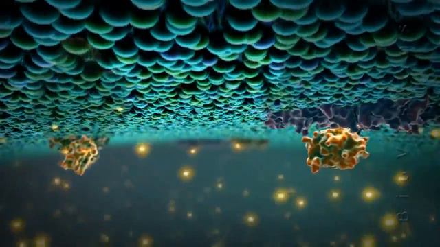 Питание клетки № 3 Митохондрия смотреть онлайн