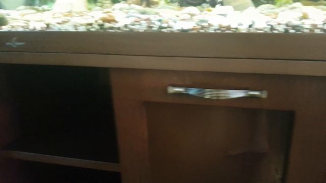 Тумба под аквариум, шпон Ясеня смотреть онлайн