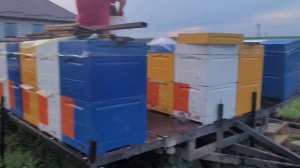 Пчелоприцепы легковые  тонар, два вида откидушик,