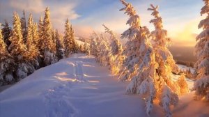 Кабы не было зимы. Детские песни. Зима в Простоквашино.