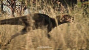 Jurassic World Evolution 2 | Dominion Malta Expansion | Трейлер к запуску