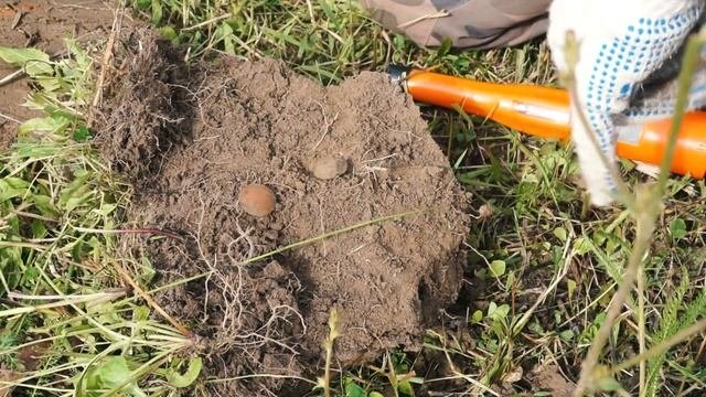Металлоискатель, который творит чудеса!? Находки с Quest X5.