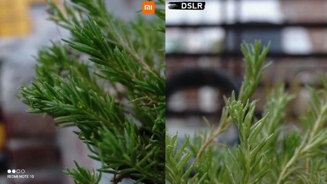 Redmi Note 10 vs DSLR Camera | Redmi Note 10 Comparison | Redmi Note 10 Camera Test смотреть онлайн