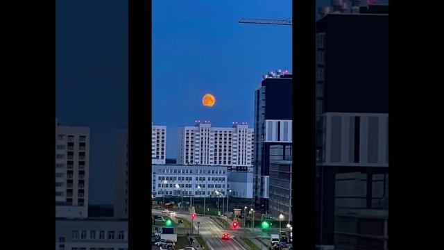 «Голубая Луна»