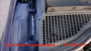 Škoda Rapid VIN Location