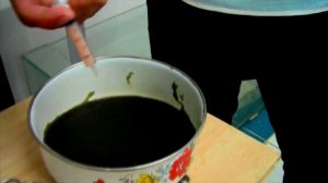Искусственное разведение Африканского Клариевого сома