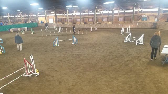 Lula's Bloodhound Agility, Masters JWW смотреть онлайн