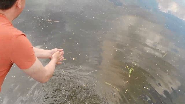 Огромный лещ . Река Москва . Буря . тест экшен-камеры Digma DiCam 890 4k смотреть онлайн