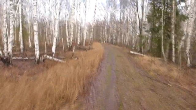 Покатушка Хитрой команды 03.11.2013 смотреть онлайн