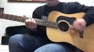 Washburn D12TS 6 String Acoustic Guitar