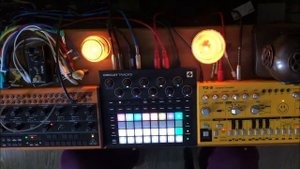 Experience on behringer crave, circuit tracks and behringer td-3